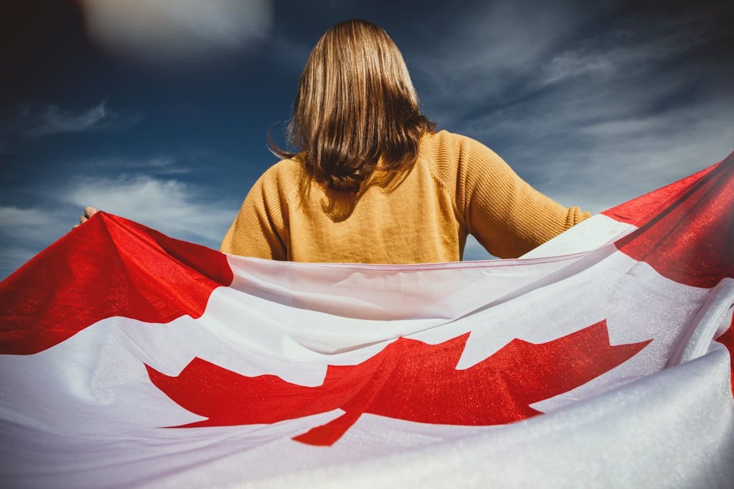 OINP PhD Graduate Stream: Your Path to Permanent Residency in Ontario