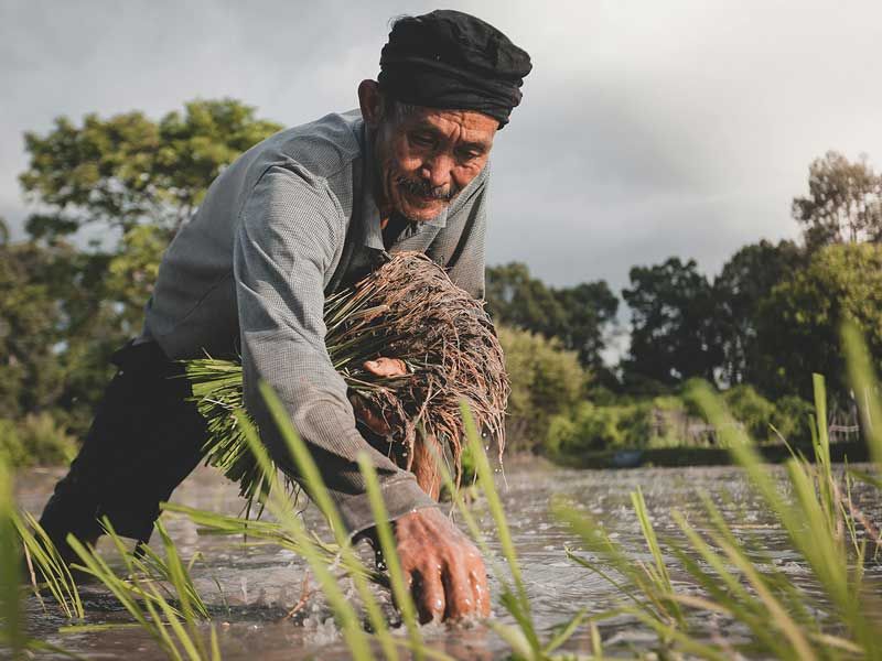 Agri-Food Pilot | Immigration for Agri-Food Workers