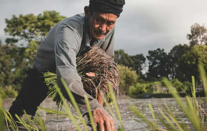 Agri-Food Pilot | Immigration for Agri-Food Workers