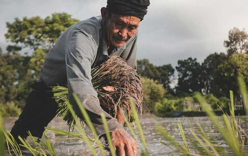 Agri-Food Pilot | Immigration for Agri-Food Workers