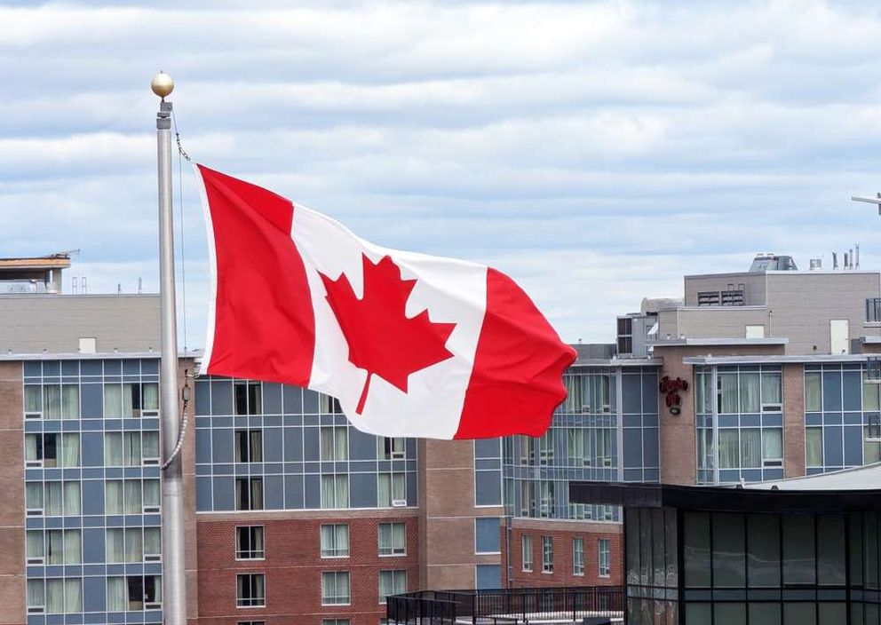Designated Learning Institution (DLI) in Canada: What It Is and Why It Matters