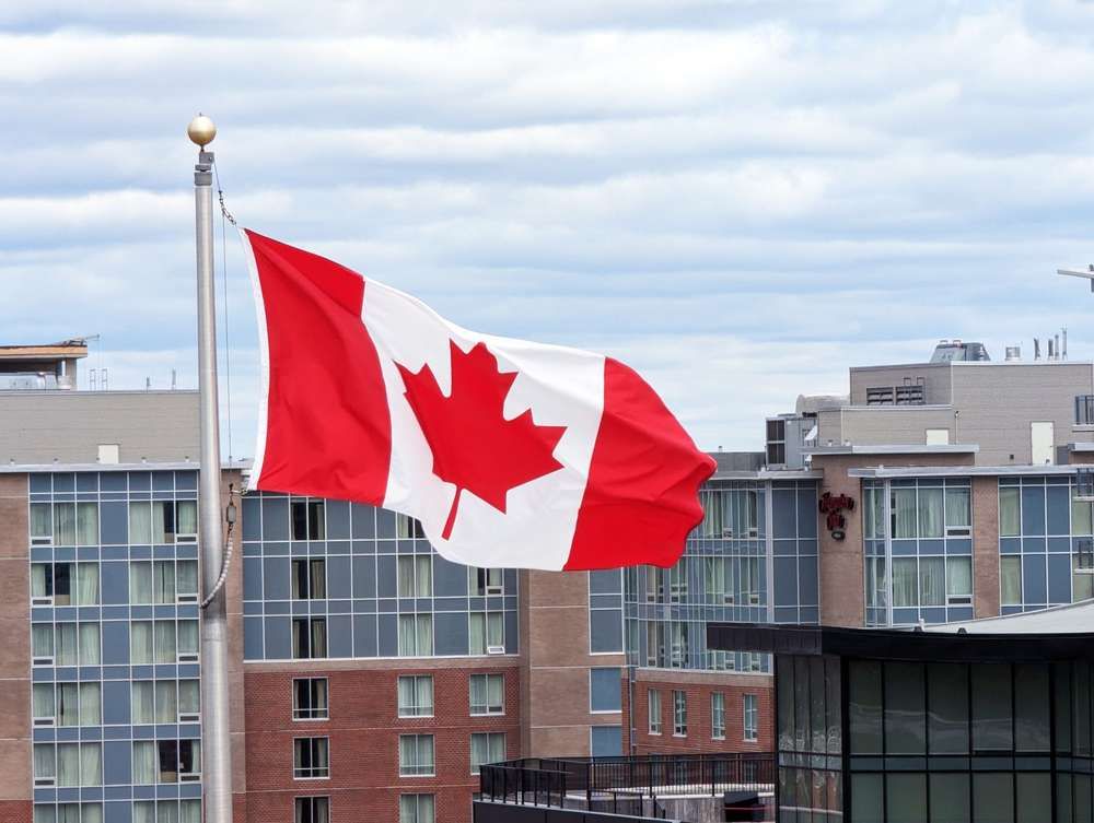 Designated Learning Institution (DLI) in Canada: What It Is and Why It Matters