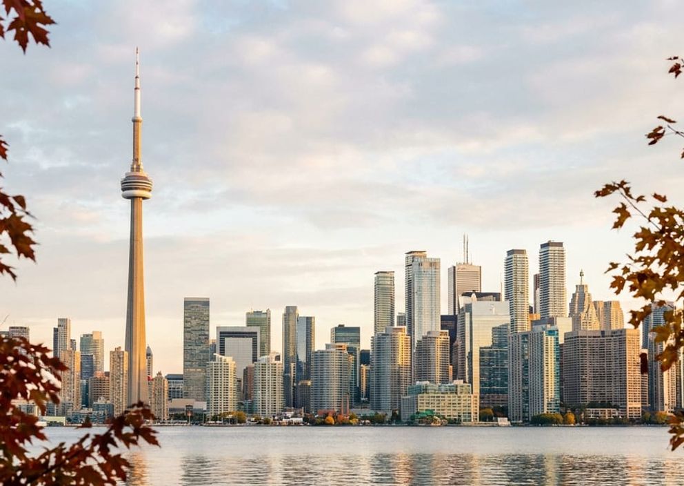 Panoramic golden hour view of the Toronto skyline and waterfront framed by subtle autumn foliage.