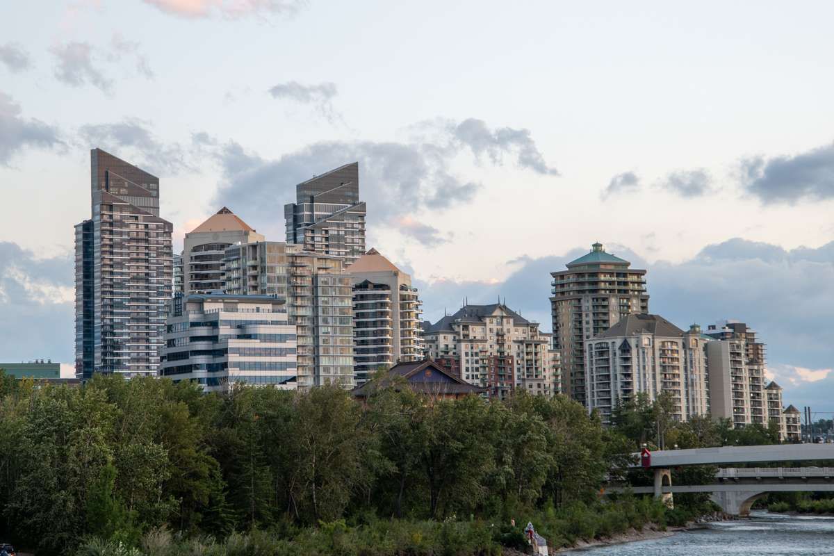 Modern city skyline with tall high-rise buildings rising behind green trees along a riverbank.