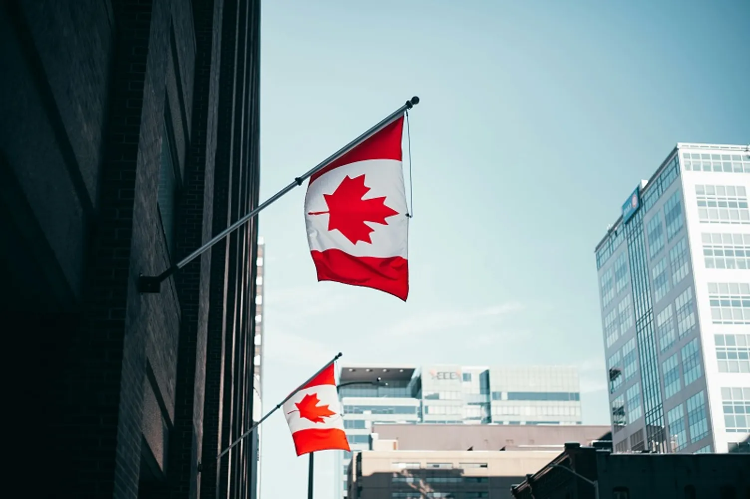 Canadian flags mounted on the exterior of an urban office building.