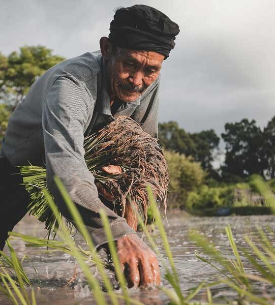 Agri-Food-Pilot