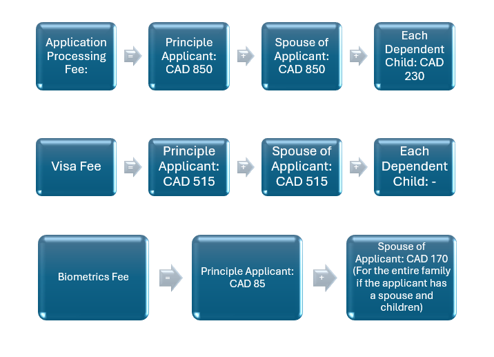 receiving an invitation to apply (ITA)