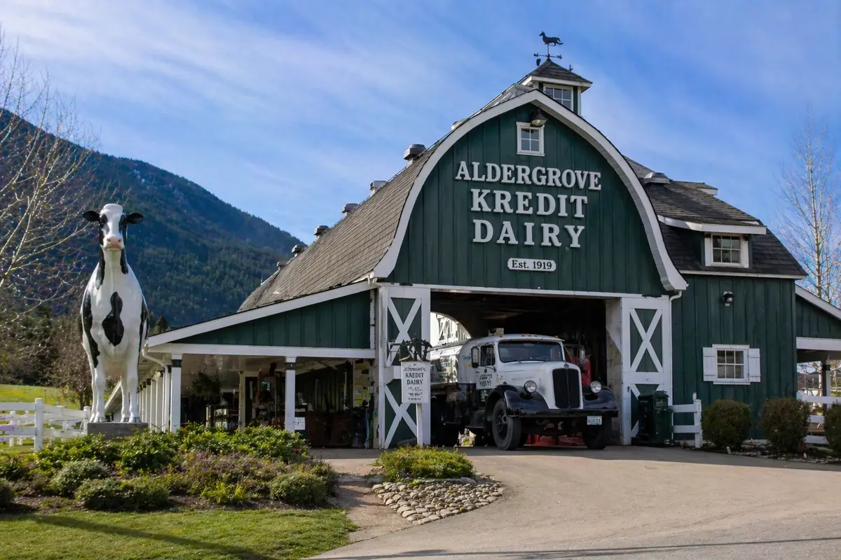 “Traditional dairy farm building in Abbotsford with vintage truck and pastoral landscape”