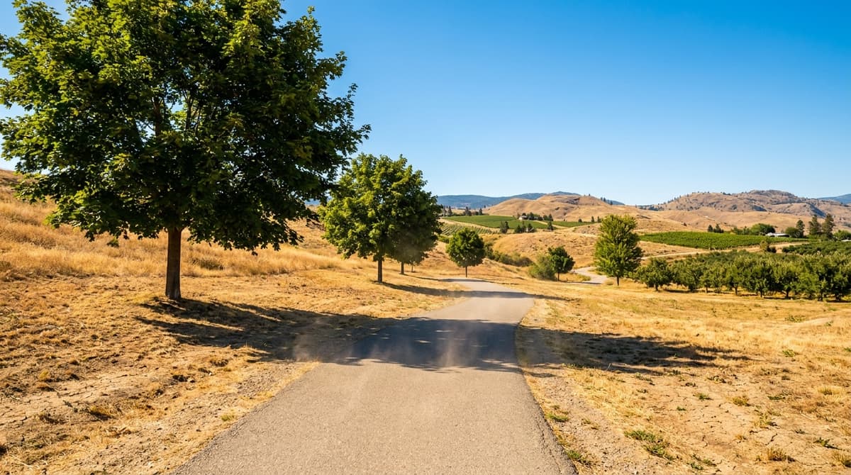 Photograph of a sun-baked path through dry golden hills and green trees in the hottest place in Canada.